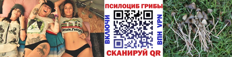 Псилоцибиновые грибы MAGIC MUSHROOMS  Новопавловск 